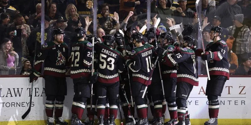 Аризона - Нэшвилл Аризона - Нэшвилл