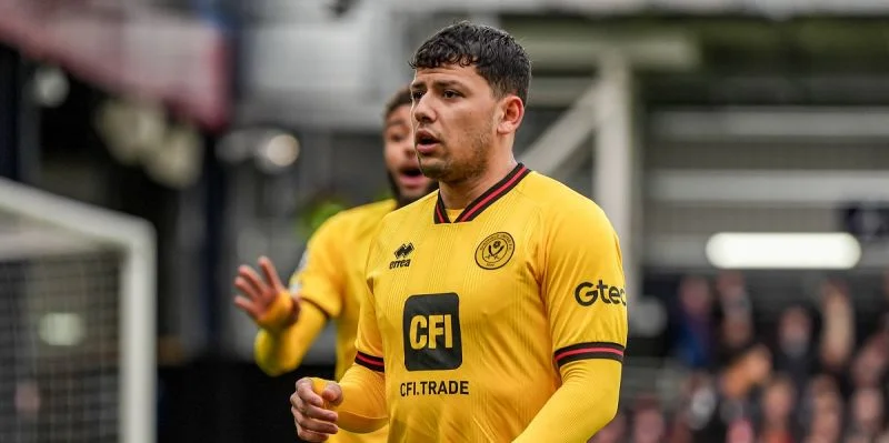 Шеффилд Юн - Брайтон Шеффилд Юн - Брайтон