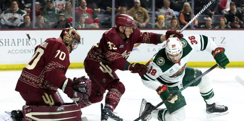 Аризона - Эдмонтон