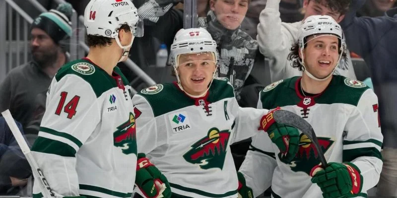 Миннесота - Каролина Миннесота - Каролина