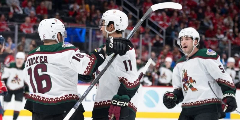 Аризона - Чикаго