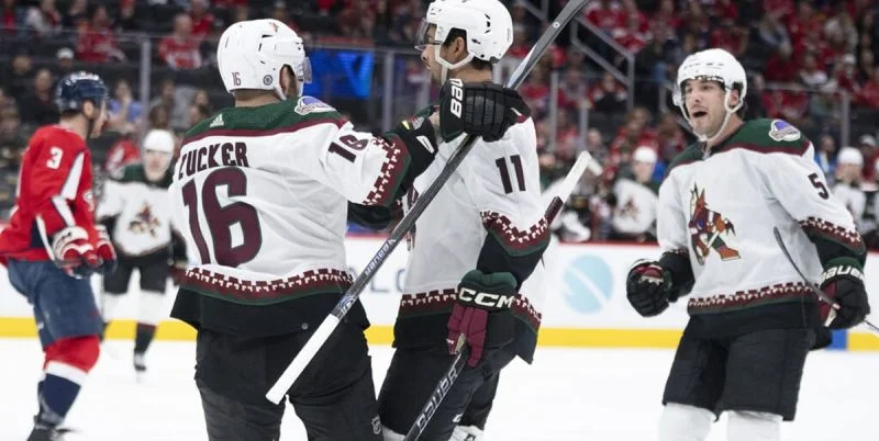 Аризона - Миннесота Аризона - Миннесота