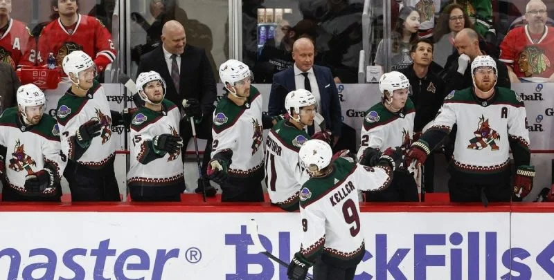 Аризона - Нью-Джерси