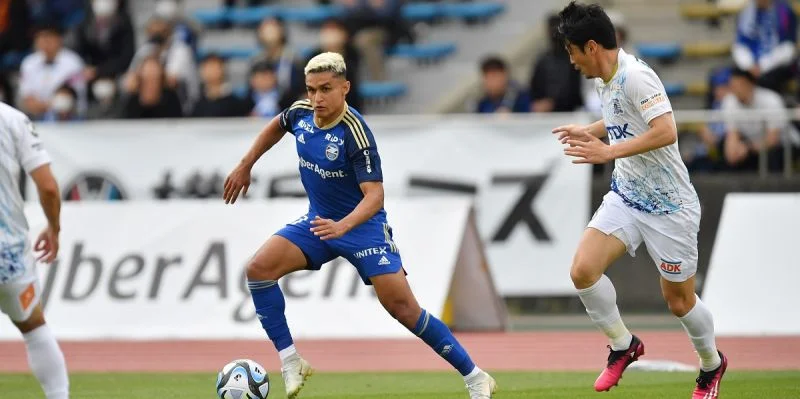 Блаублиц Акита - Точиги