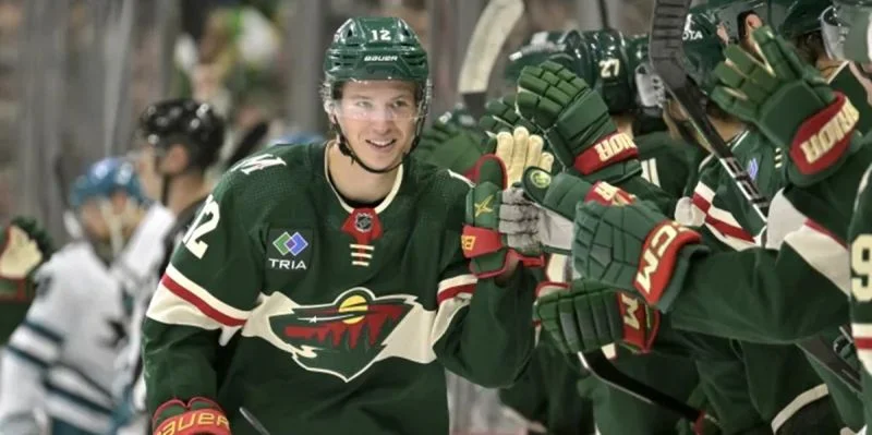 Миннесота - Оттава Миннесота - Оттава