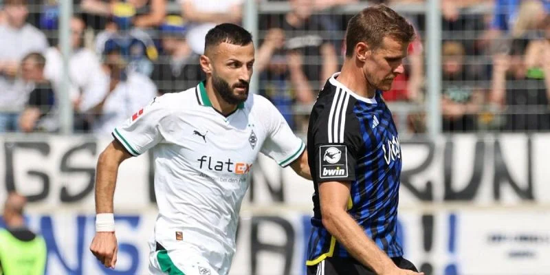 Хоффенхайм - Боруссия М