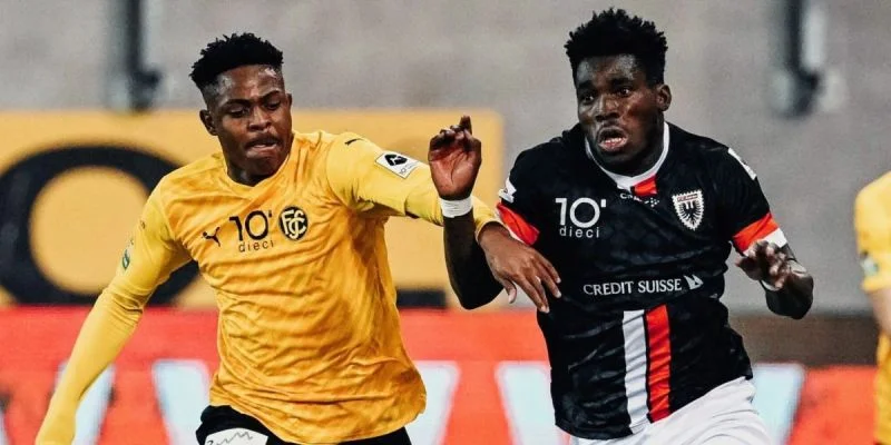 Арау - Беллинцона Арау - Беллинцона