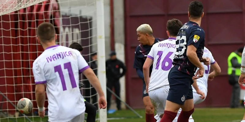 Радник - Явор