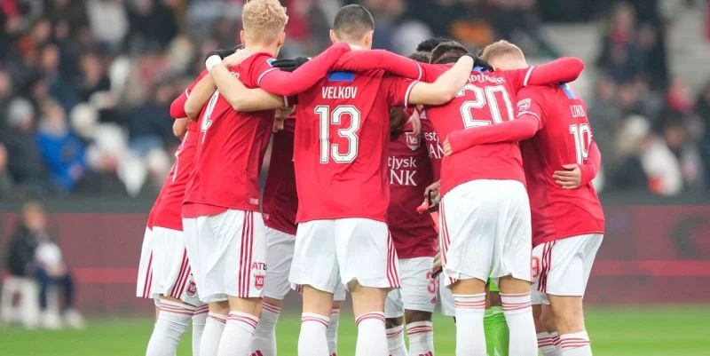 Вайле - Видовре