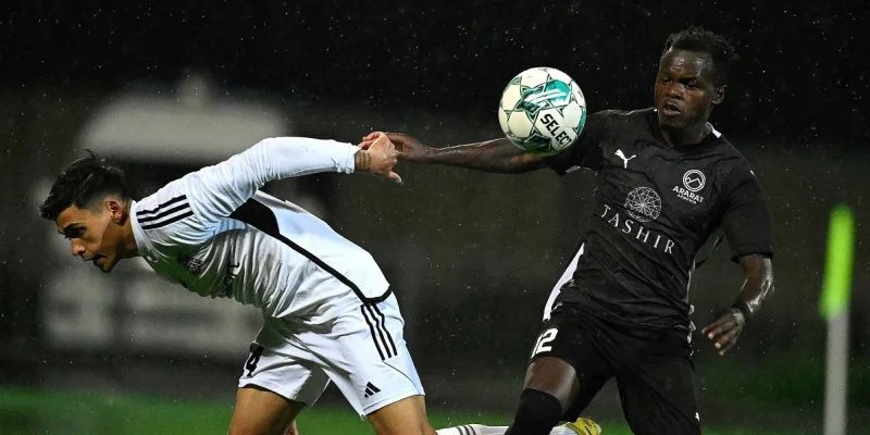 Арарат-Армения - Ширак