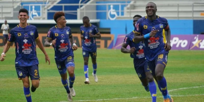 Дельфин - Томаяпо