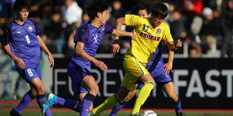 Каталлер Тояма - Саппоро Каталлер Тояма - Саппоро