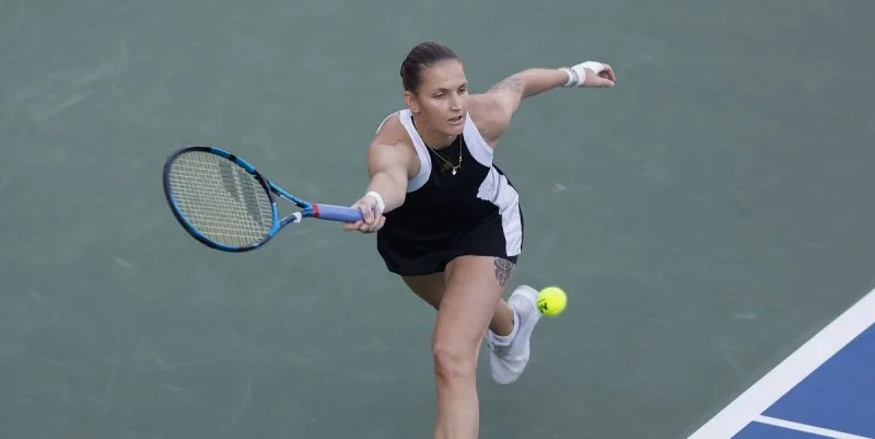 Хизер Уотсон - Каролина Плишкова