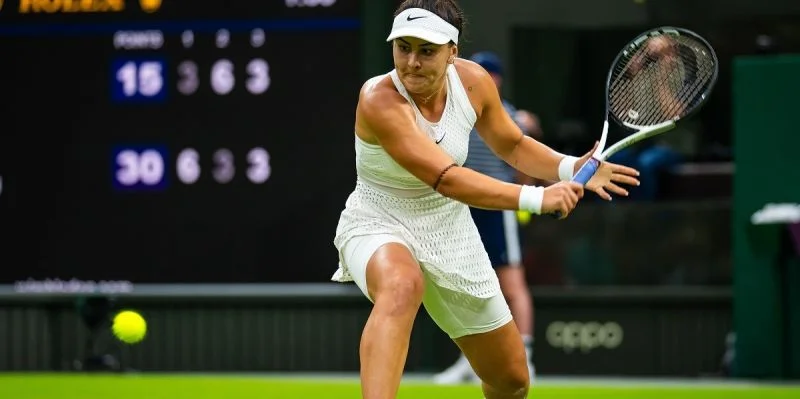 Бьянка Андрееску - Анна Блинкова