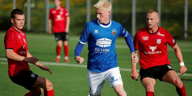 Вестри - Фрам Вестри - Фрам