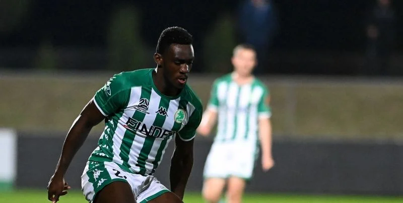 Данденонг - Грин Гулли