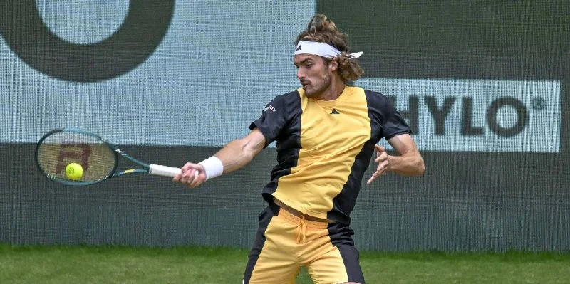 Стефанос Циципас - Хамад Медьедович