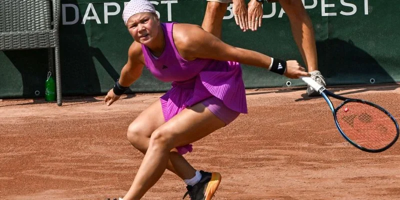 Диана Шнайдер - Элла Зайдель