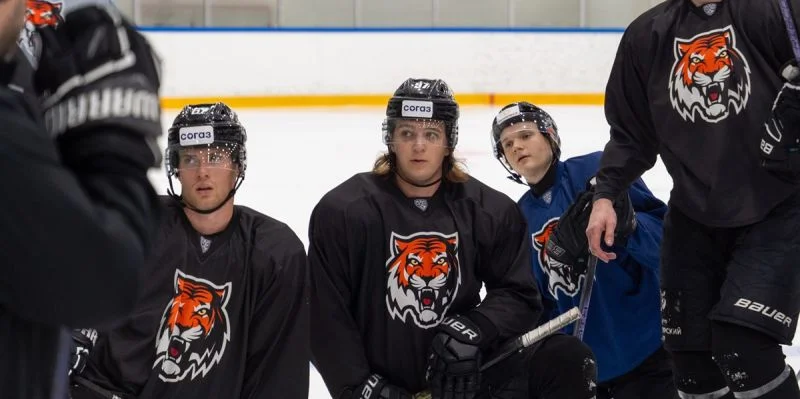 Амур - Лада Амур - Лада