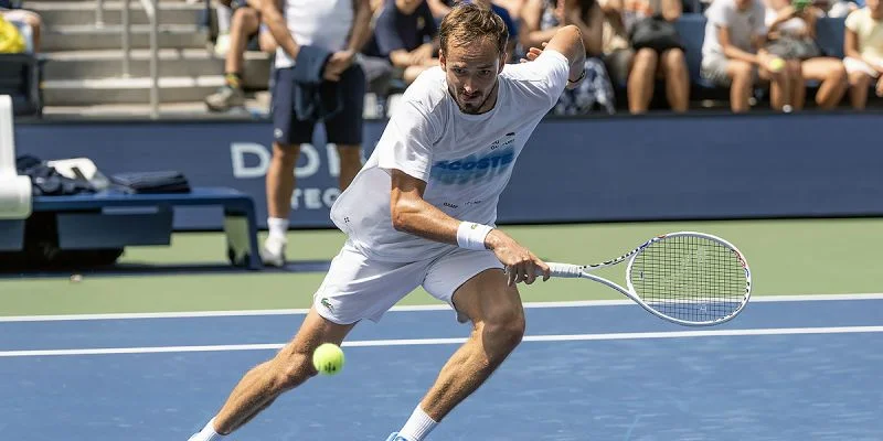 Душан Лайович - Даниил Медведев