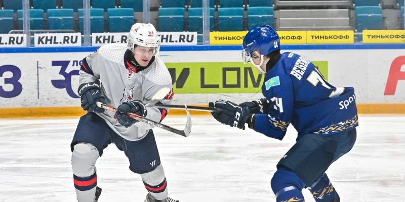 АКМ-Новомосковск - Красноярские Рыси