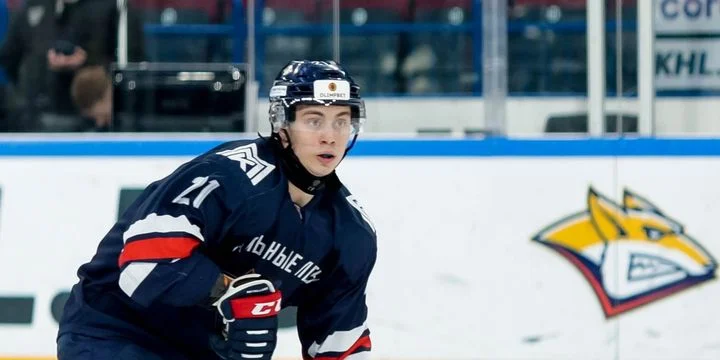 Стальные Лисы - Омские Ястребы