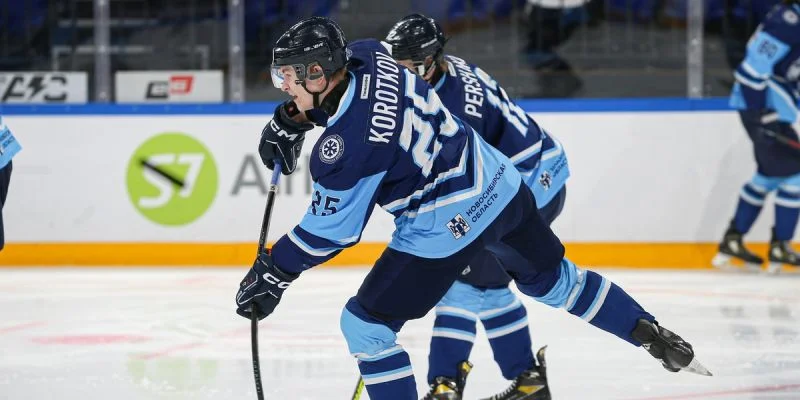 Сибирские Снайперы - Чайка