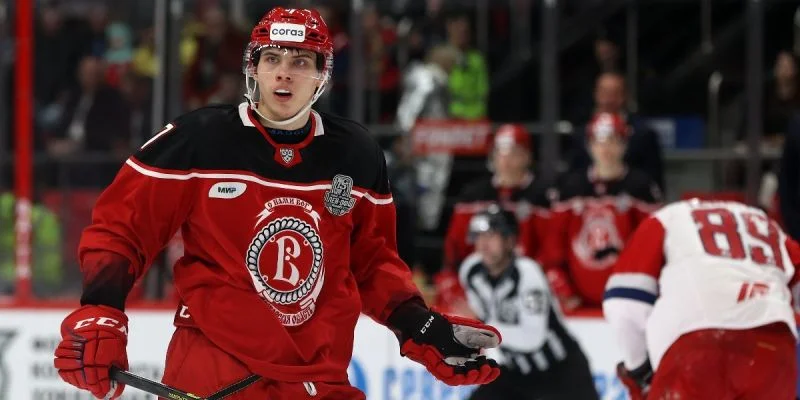 Витязь - Амур