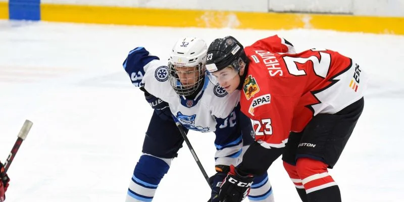 Кузнецкие Медведи - Чайка