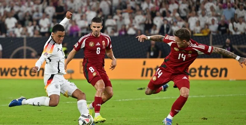 Венгрия - Босния и Герцеговина