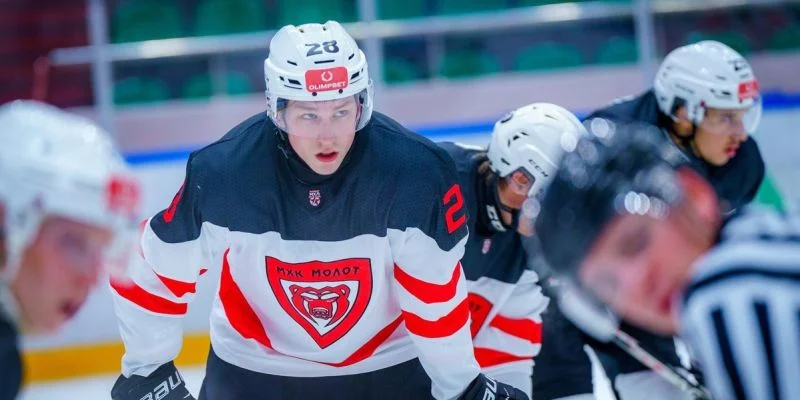 Молот - Снежные Барсы Молот - Снежные Барсы