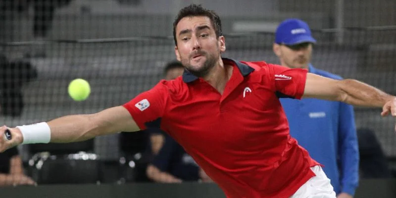 Марин Чилич - Кеи Нисикори