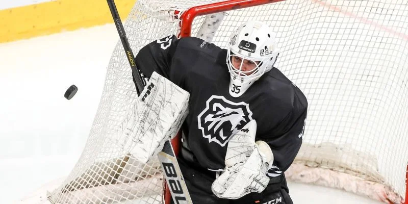 Белые Медведи - Сибирские Снайперы