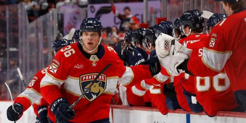 Флорида - Тампа Флорида - Тампа