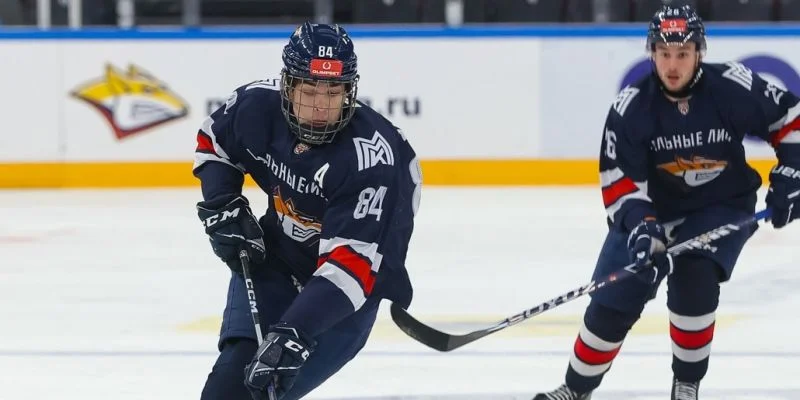 Стальные Лисы - Чайка