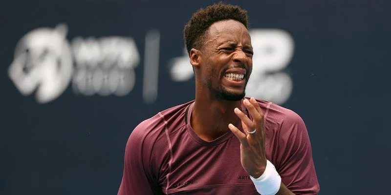 Гаэль Монфис - Дамир Джумхур