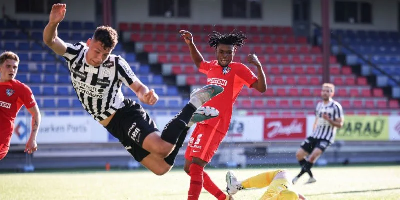 ВПС - Ильвес