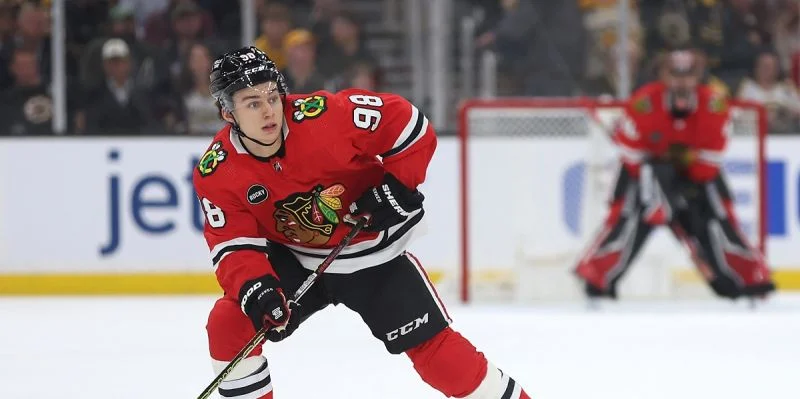 Чикаго - Миннесота Чикаго - Миннесота