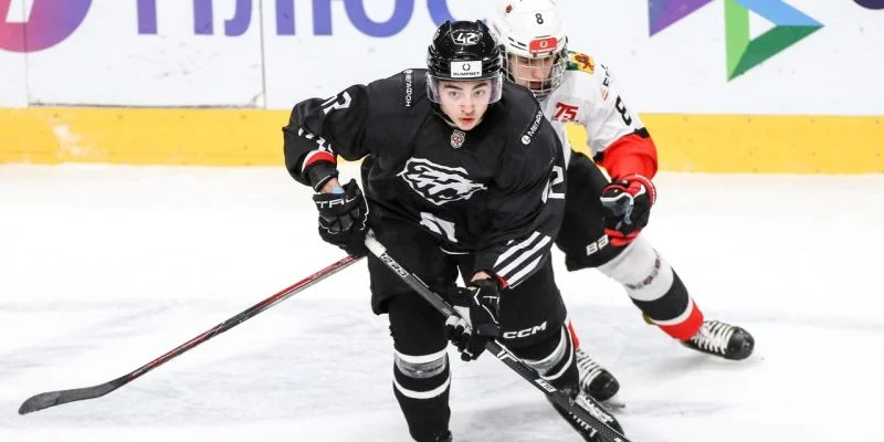 Белые Медведи - Снежные Барсы