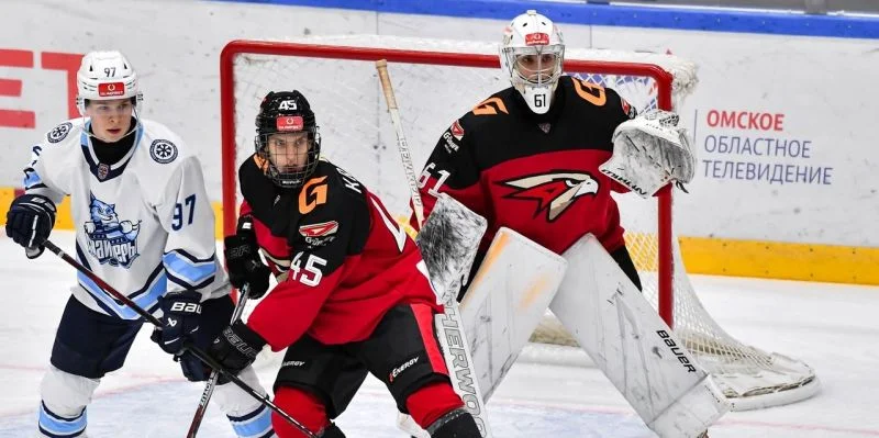 Омские Ястребы - Снежные Барсы Омские Ястребы - Снежные Барсы