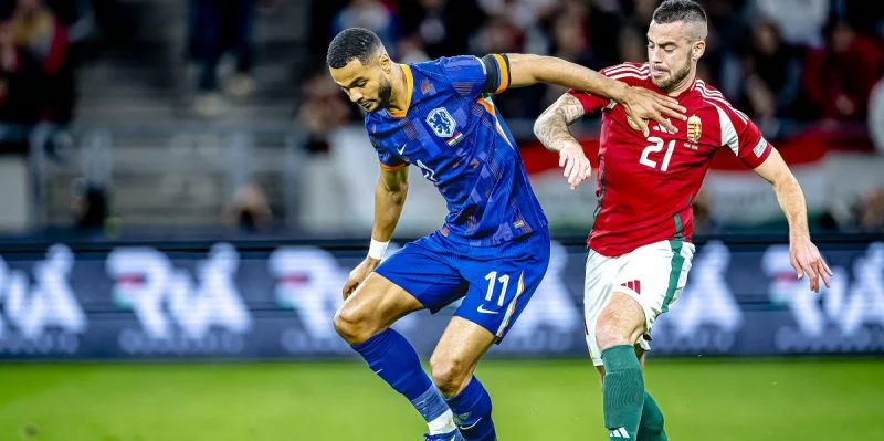 Германия - Нидерланды Германия - Нидерланды