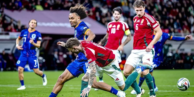 Босния и Герцеговина - Венгрия Босния и Герцеговина - Венгрия