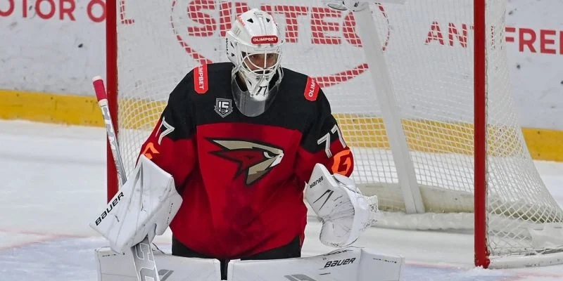 Магнитка - Омские Крылья