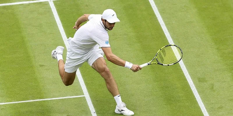 Джеймс Дакворт - Александар Вукич