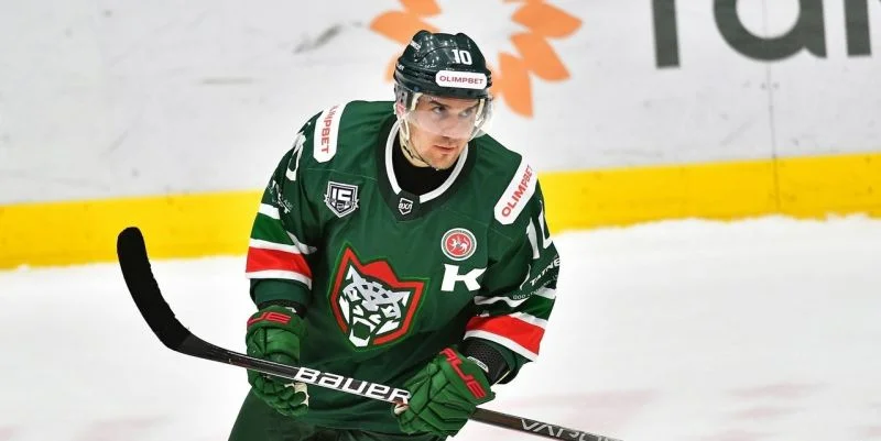 Барс - Химик