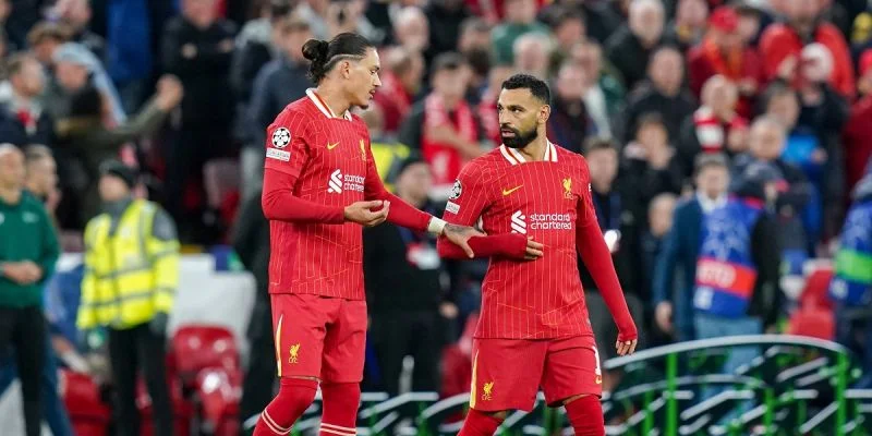 Ливерпуль - Брайтон Ливерпуль - Брайтон