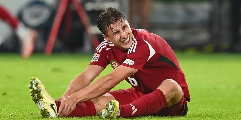 Нидерланды - Венгрия Нидерланды - Венгрия