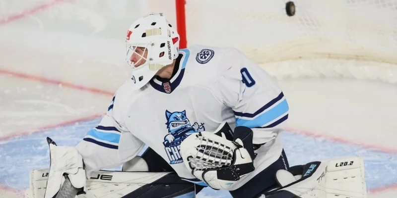 Стальные Лисы - Сибирские Снайперы