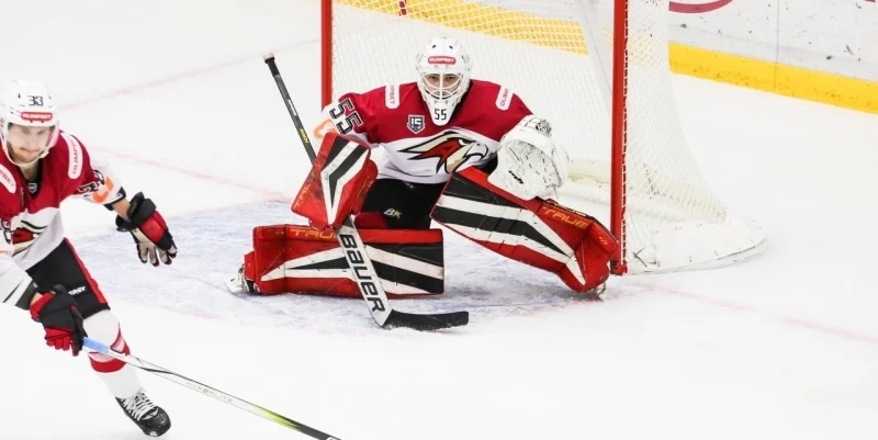 Омские Крылья - Рубин