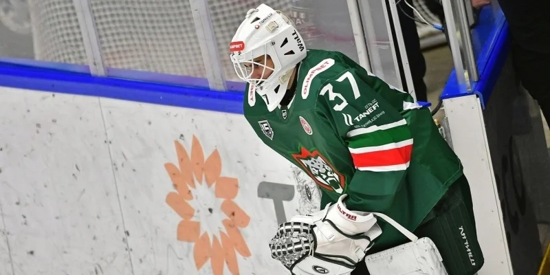 Сокол - Барс Сокол - Барс